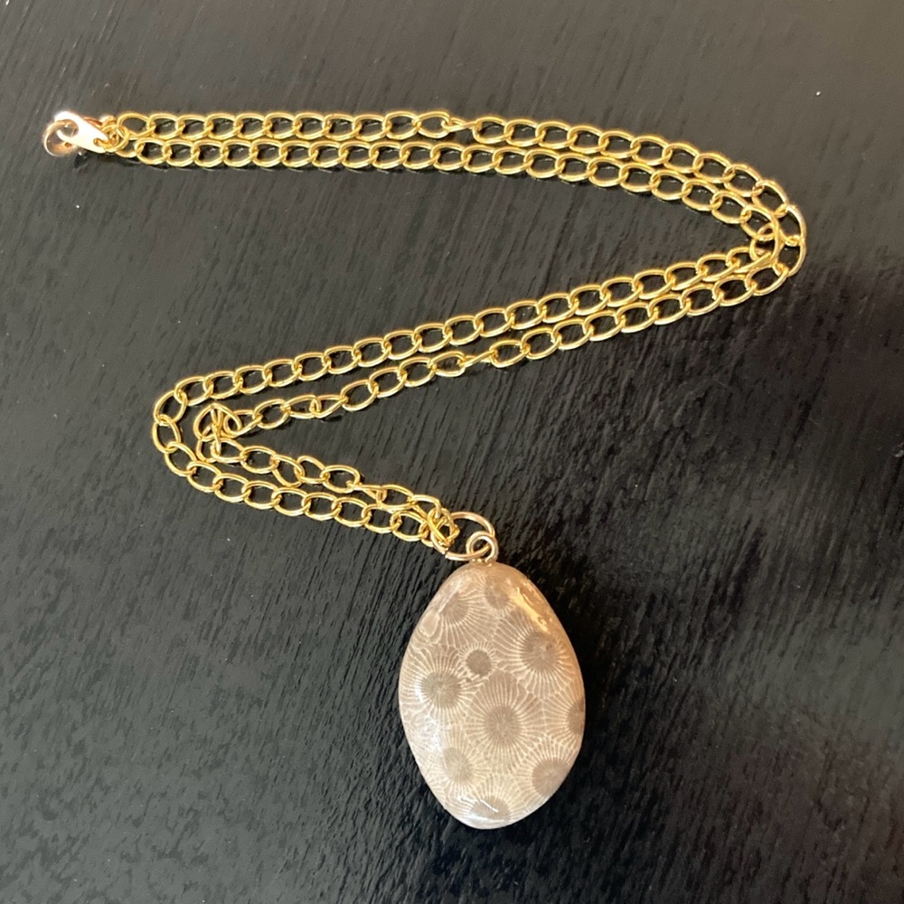 Beautiful handmade Petoskey Stone pendant with Gold tone 20" Chain Necklace. - Picture 3 of 9
